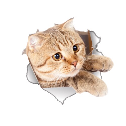 Cats 3D Wall Sticker Toilet Stickers Hole View Vivid Dogs Bathroom Cats 3D Wall Sticker Toilet Stickers Hole View Vivid Dogs Bathroom