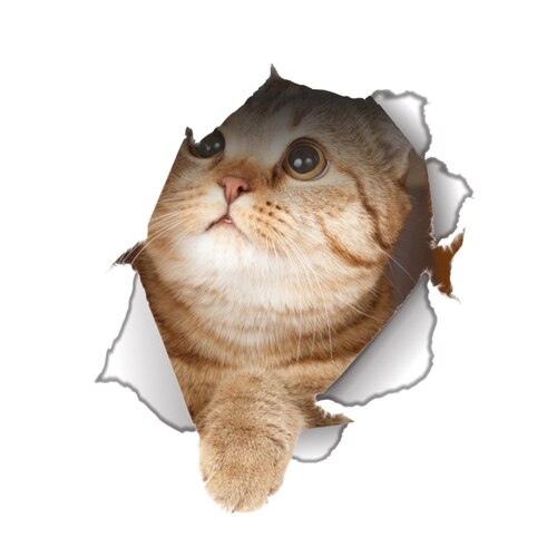 Cats 3D Wall Sticker Toilet Stickers Hole View Vivid Dogs Bathroom Cats 3D Wall Sticker Toilet Stickers Hole View Vivid Dogs Bathroom