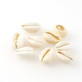 20Pcs 10-17mm Gold/Silver Plated Natural Color Shell