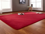 160x200cm Short-haired coral velvet carpet living room floor mat